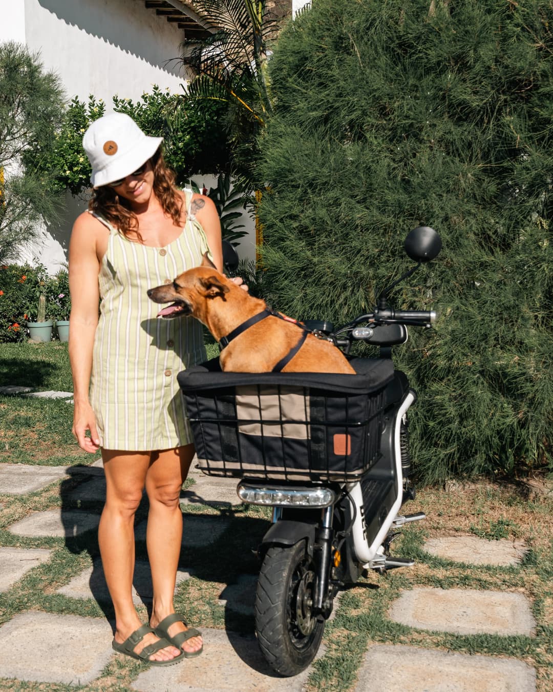 Kit Dog Rider 53L