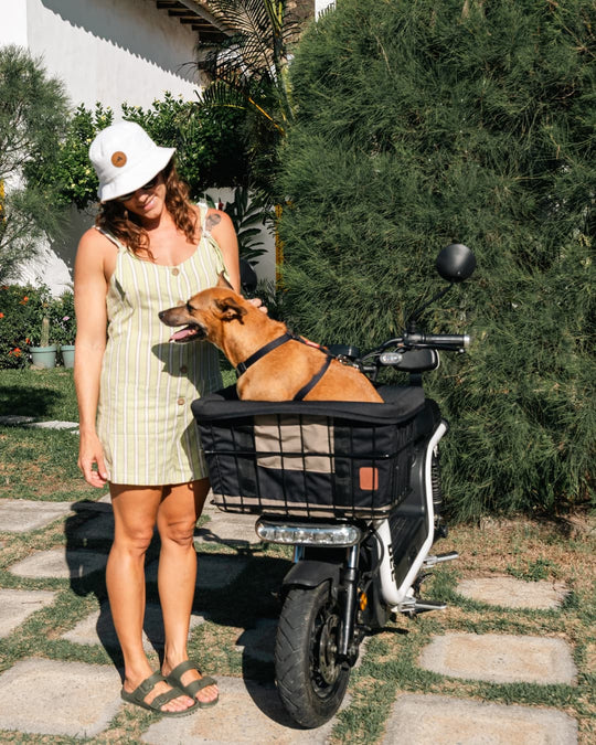 Kit Dog Rider 53L