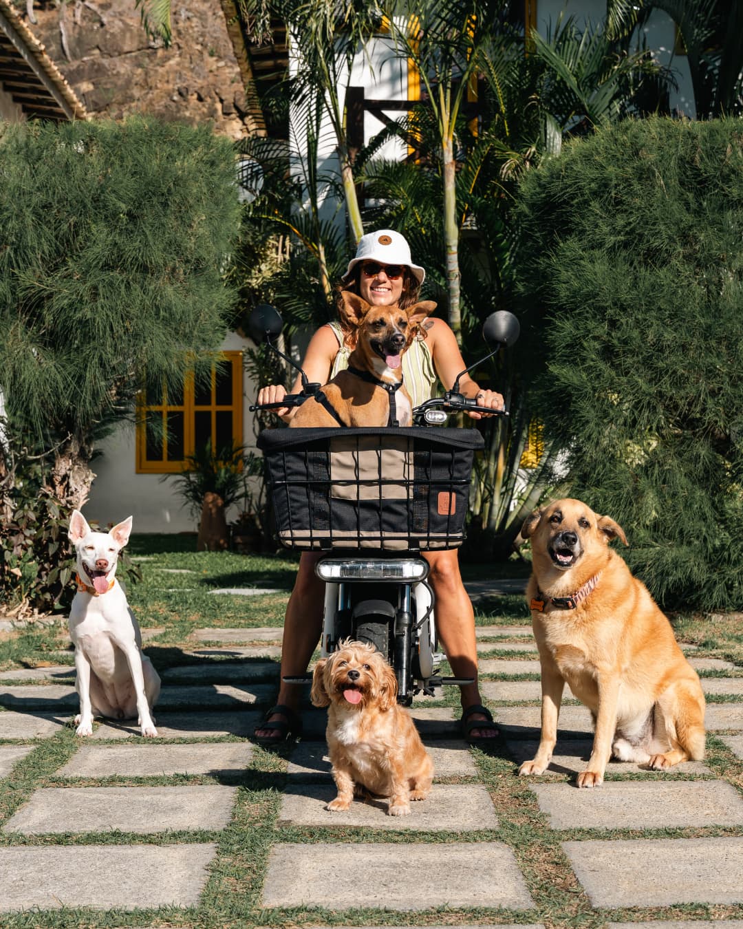 Kit Dog Rider 53L