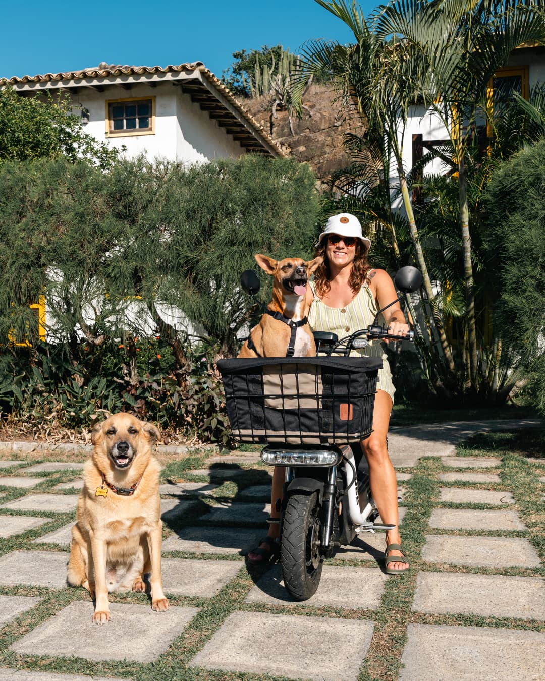 Kit Dog Rider 53L