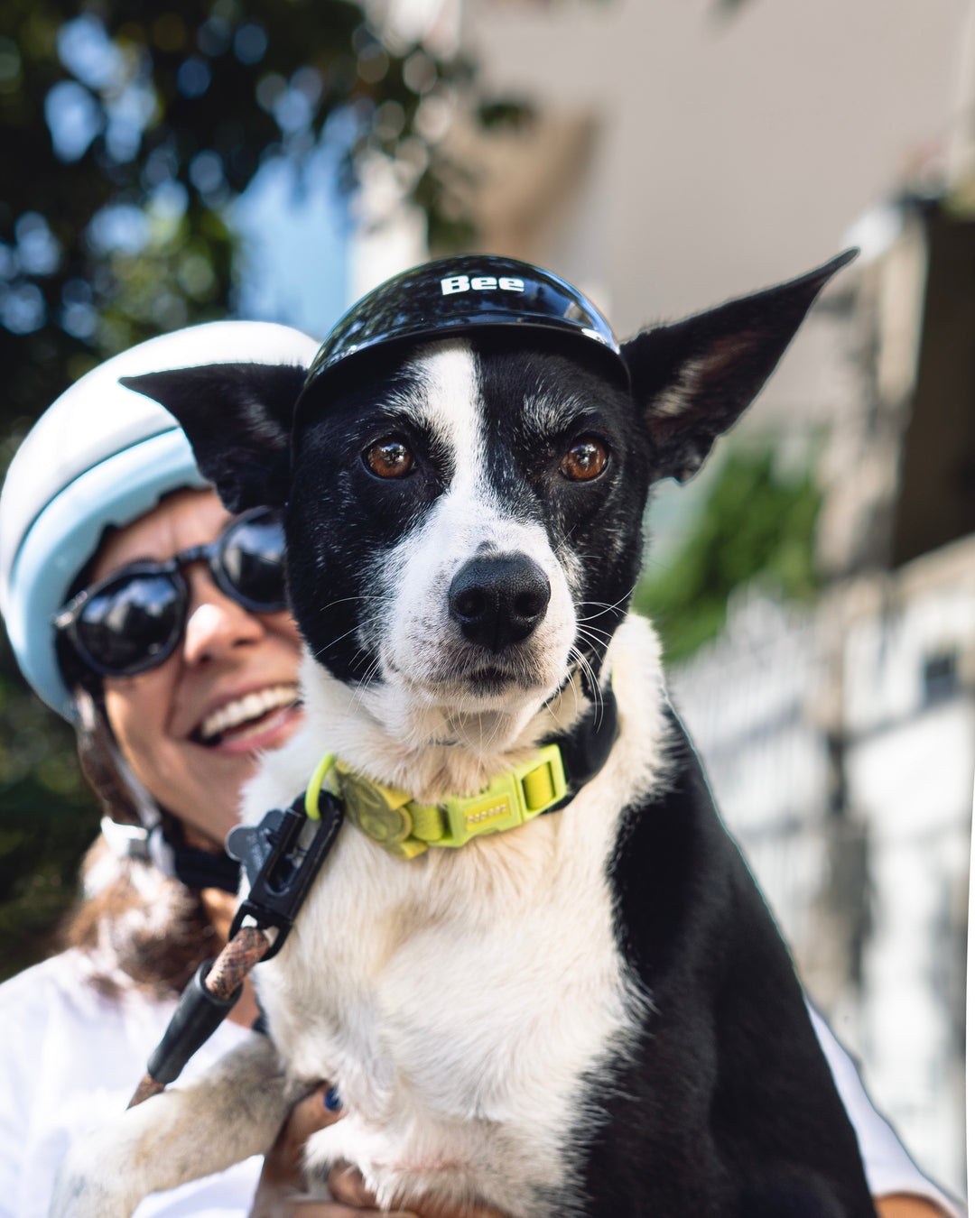 Capacete Pet