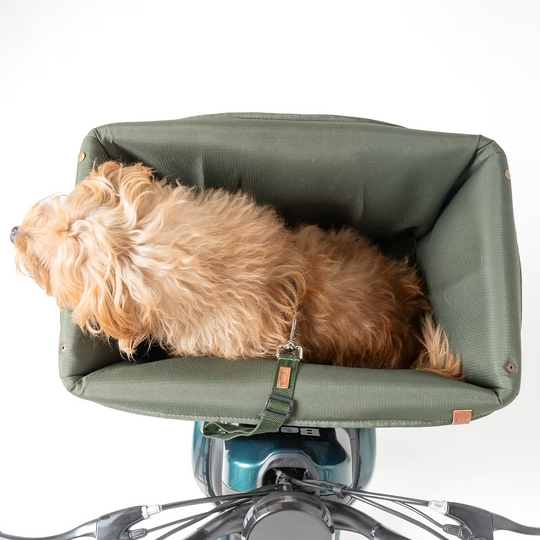 Kit Dog Rider 32L (U1 e S1)