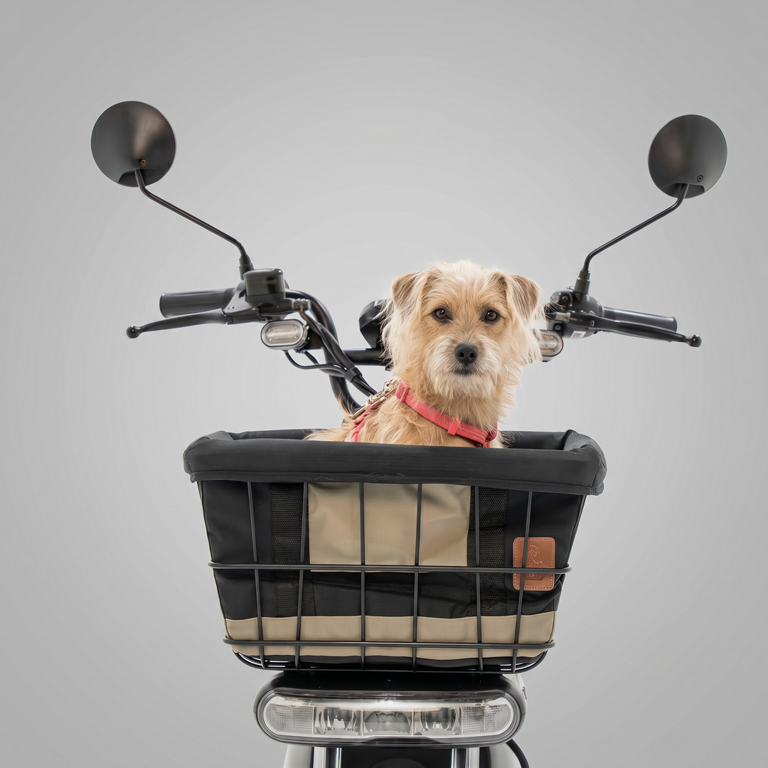 Kit Dog Rider 32L (U1 e S1)