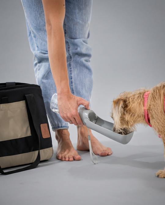 Kit Dog Rider 53L